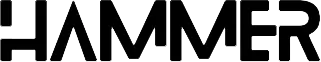 Luvas Hammer logo